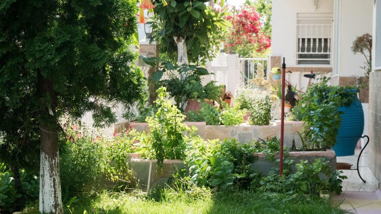 Niki Apartments باراليا ديونيسيو المظهر الخارجي الصورة